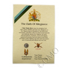264 SAS Signal Squadron Oath Of Allegiance Certificate